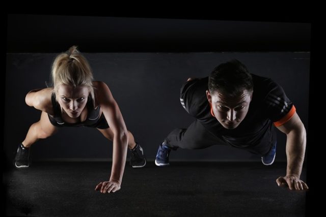 animal flow workout